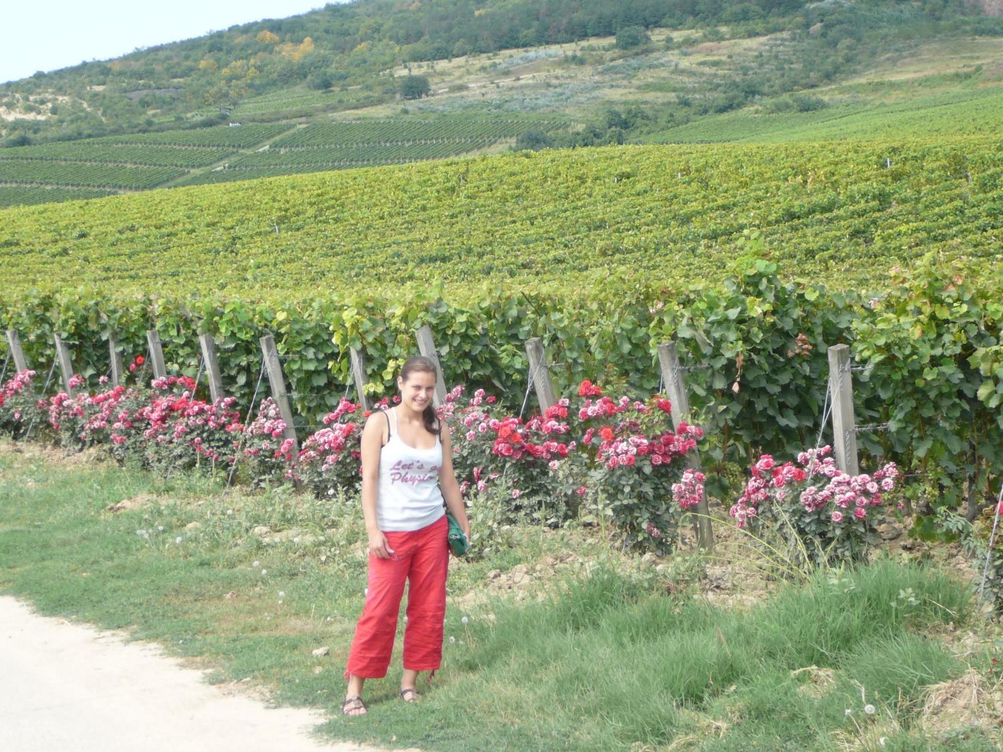 Torkolat Panzio Bed & Breakfast Tokaj Exterior photo